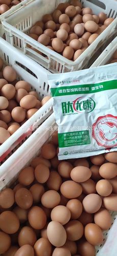鸡用微生态产品 宝来利来微生态生产厂家 家禽饲料添加剂企业